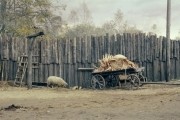 В тумане (2012)