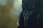 Ганнибал - сериал / Hannibal (2013-...)