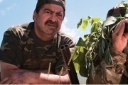 Невероятные приключения американца в Армении / Lost and Found in Armenia (2012)
