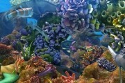 Риф 3D / The Reef 2: High Tide (2012)