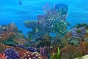 Риф 3D / The Reef 2: High Tide (2012)