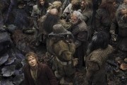 Хоббит: Пустошь Смауга / The Hobbit: The Desolation of Smaug (2013)