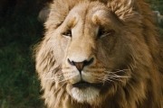 Хроники Нарнии: Лев, колдунья и волшебный шкаф / The Chronicles of Narnia: The Lion, the Witch and the Wardrobe (2005)