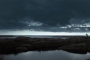 Тайное дитя / Tyskungen (2013)
