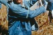 Хладнокровный Люк / Cool Hand Luke (1967)