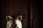 Тебе конец! / You're Next (2013)