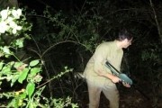 Джунгли / The Jungle (2013)