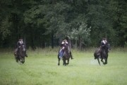 Три мушкетера (2013)
