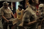 7 ящиков / 7 cajas (2012)