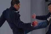 Рейд 2 / The Raid 2: Berandal (2014)