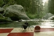 Букашки. Приключение в Долине муравьев / Minuscule - La vall&#233;e des fourmis perdues (2013)