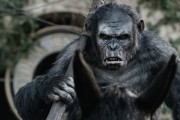 Планета обезьян: Революция / Dawn of the Planet of the Apes (2014)