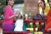 Коварные горничные 1, 2 сезон / Devious Maids (2013-...)
