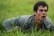 Бегущий в лабиринте / The Maze Runner (2014)