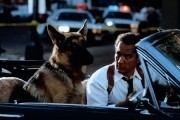 К-9: Собачья работа / K-9 (1989)