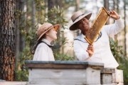 Тайная жизнь пчёл / The Secret Life of Bees (2008)