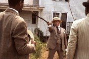 Цветы лиловые полей / The Color Purple (1985)