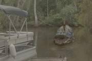 Болото змееголовов / SnakeHead Swamp (2014)