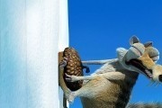 Ледниковый период 2: Глобальное потепление / Ice Age: The Meltdown (2006)