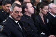 Голубая кровь - сериал / Blue Bloods (2010-...)