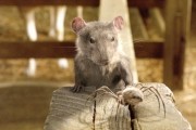 Паутина Шарлотты / Charlotte's Web (2006)