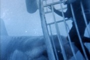 Челюсти / Jaws (1975)