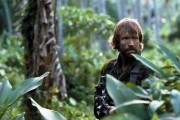 Без вести пропавшие / Missing in Action (1984)
