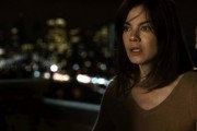 Пентхаус с видом на север / Penthouse North (2013)