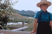 Свидетель / Witness (1985)