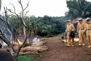 Эпидемия / Outbreak (1995)