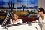 Аризонская мечта / Arizona Dream (1991)