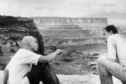 Ловец солнца / The Sunchaser (1996)