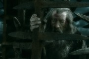 Хоббит: Битва пяти воинств / The Hobbit: The Battle of the Five Armies (2014)
