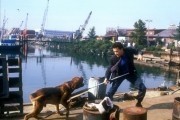 Тёрнер и Хуч / Turner & Hooch (1989)