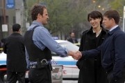 Власть закона - сериал / The Chicago Code (2011)