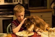 Невероятное путешествие мистера Спивета / L'extravagant voyage du jeune et prodigieux T.S. Spivet (2013)