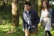 Библиотекари - сериал / The Librarians (2014-...)