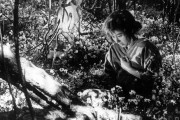 Семь самураев / Shichinin no samurai (1954)