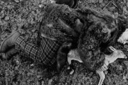 Мертвец / Dead Man (1995)