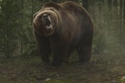 Гризли / Grizzly (2013)