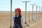 Испытание (2014)