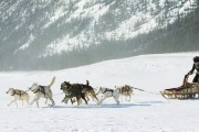 Клондайк - сериал / Klondike (2014)