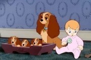 Леди и бродяга / Lady and the Tramp (1955)