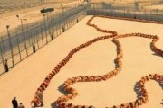 Человеческая многоножка 3 / The Human Centipede III (Final Sequence) (2015)