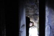 Ночной огонёк / Nightlight (2015)