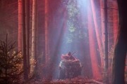 Большая игра / Big Game (2014)