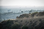 Тренер / McFarland, USA (2015)