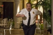 Толстяк против всех / Paul Blart: Mall Cop 2 (2015)