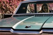 Дама в очках и с ружьем в автомобиле / La dame dans l'auto avec des lunettes et un fusil (2015)