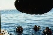 Кокон / Cocoon (1985)